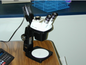 Microscope